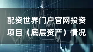 配资世界门户官网投资项目（底层资产）情况